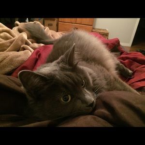 Meet your Posher, Marie